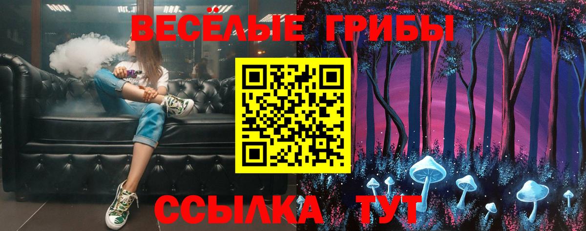 Псилоцибиновые грибы Psilocybe Севастополь